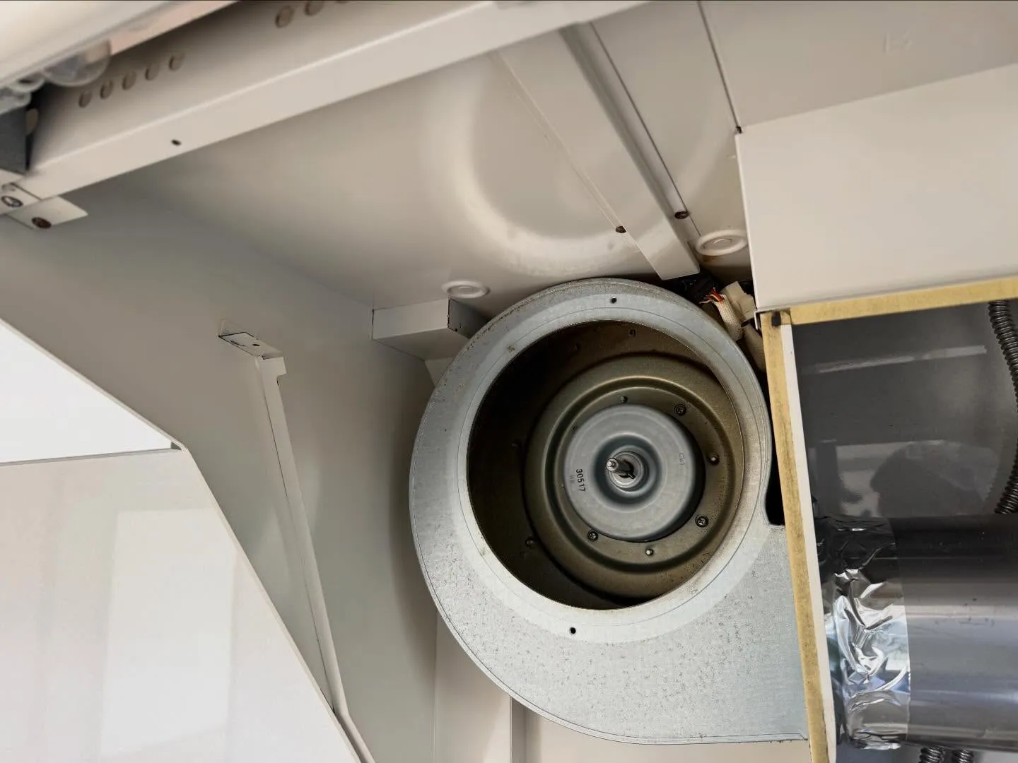 こんにちは！汚れに厳しく、人に優しいスミレです！