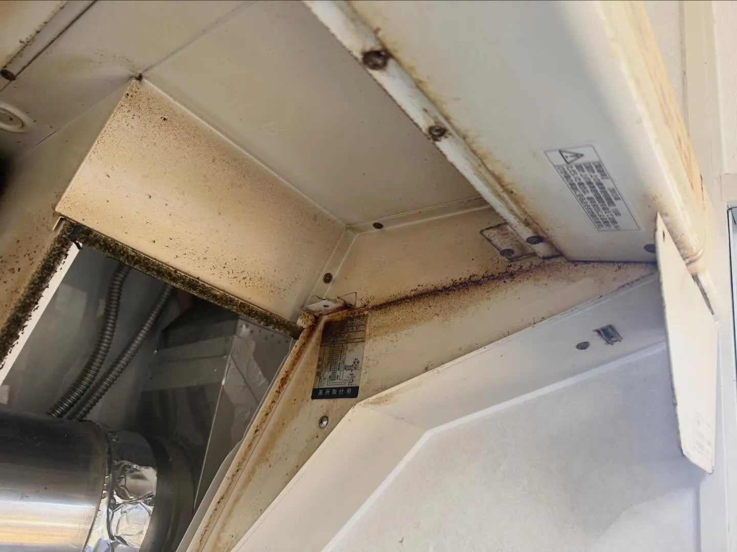 こんにちは！汚れに厳しく、人に優しいスミレです！