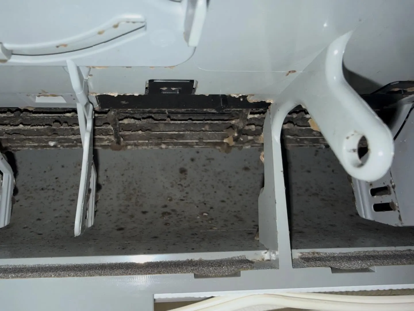 こんにちわ!汚れに厳しく、人に優しいスミレです!