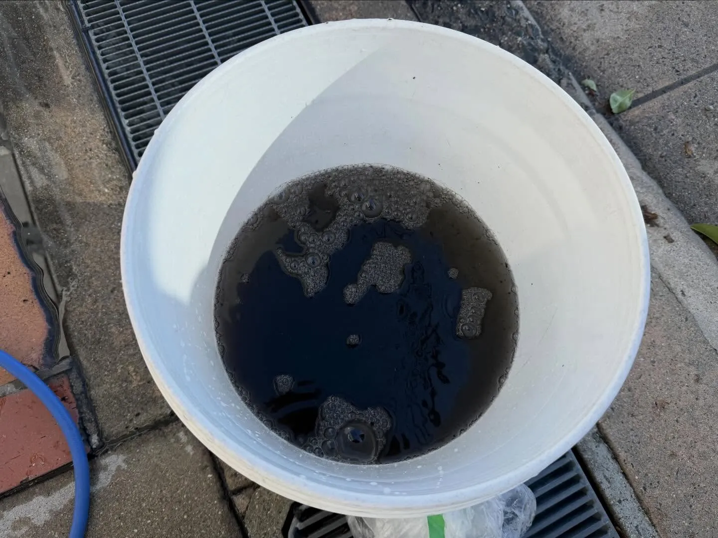 こんにちわ！汚れに厳しく、人に優しいスミレです！