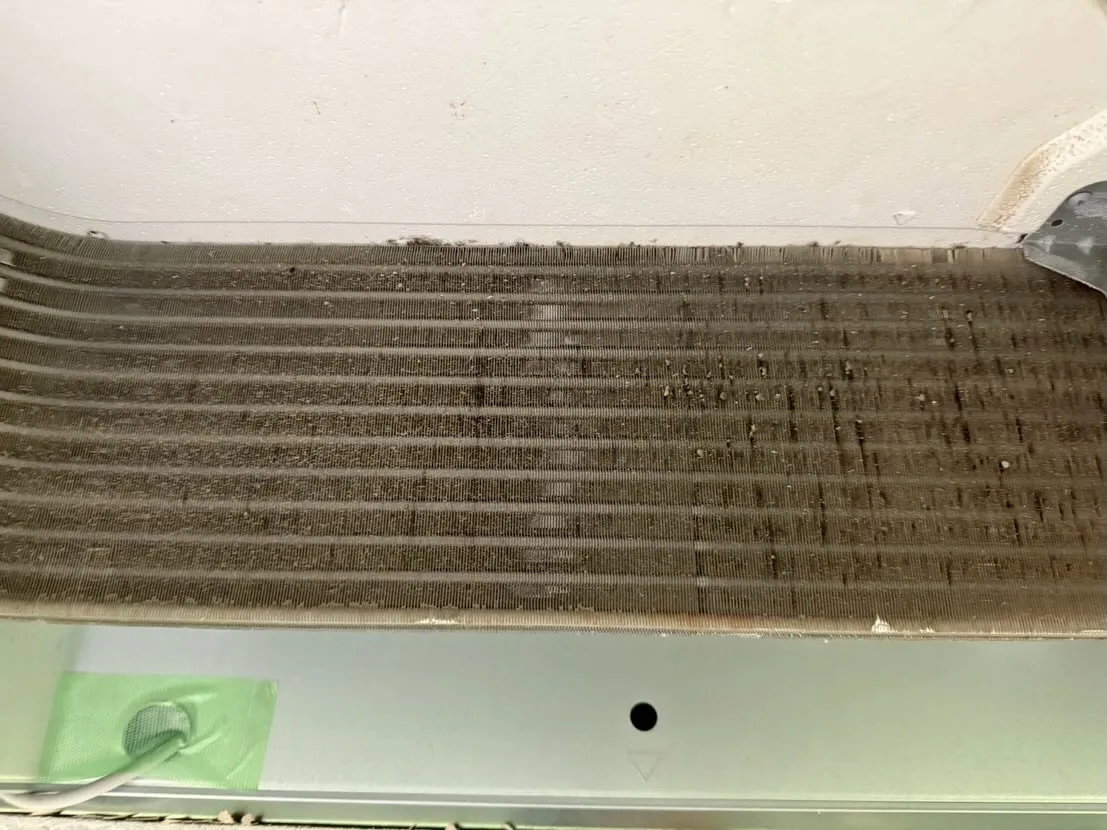 こんにちは！汚れに厳しく、人に優しいスミレです！