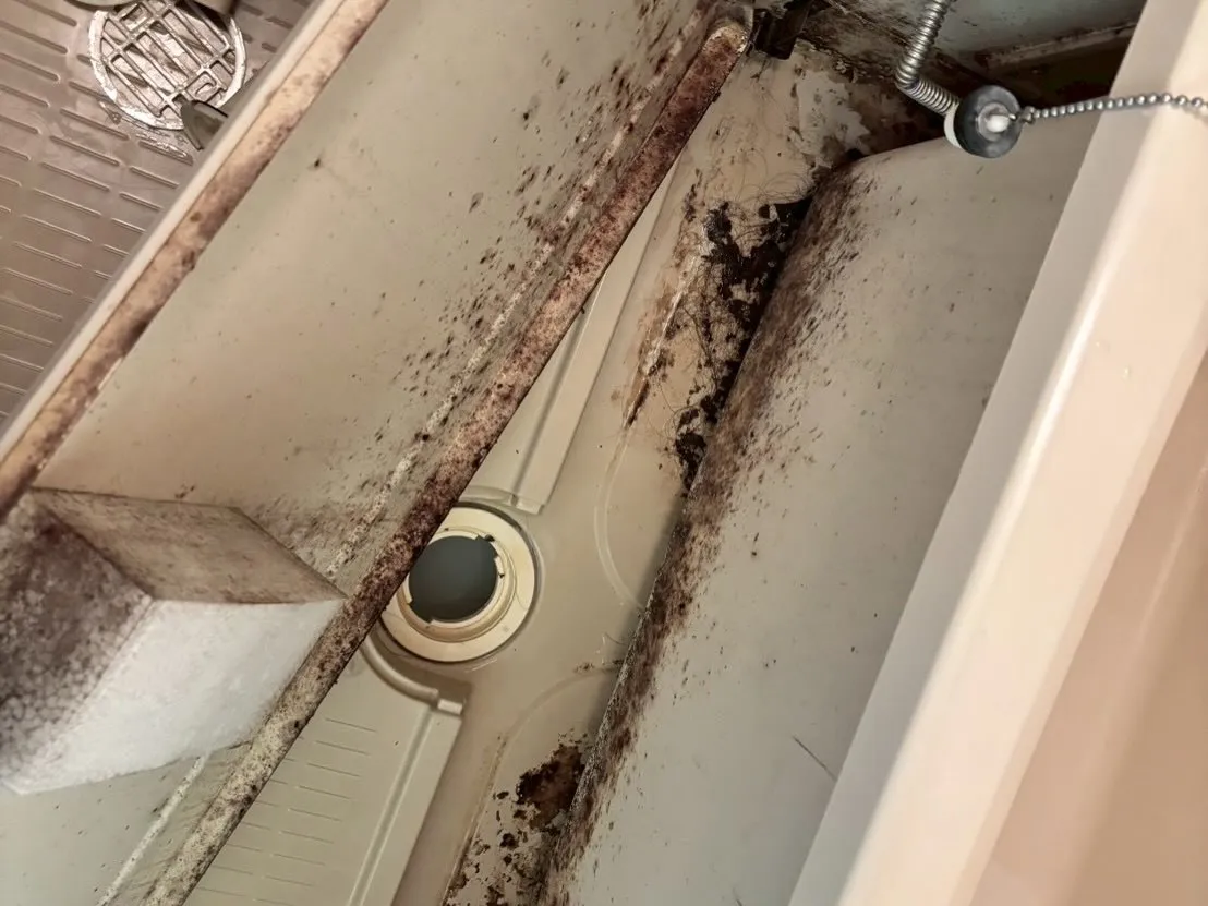 こんにちは！ 汚れに厳しく人に優しいスミレです！お家のお風呂...