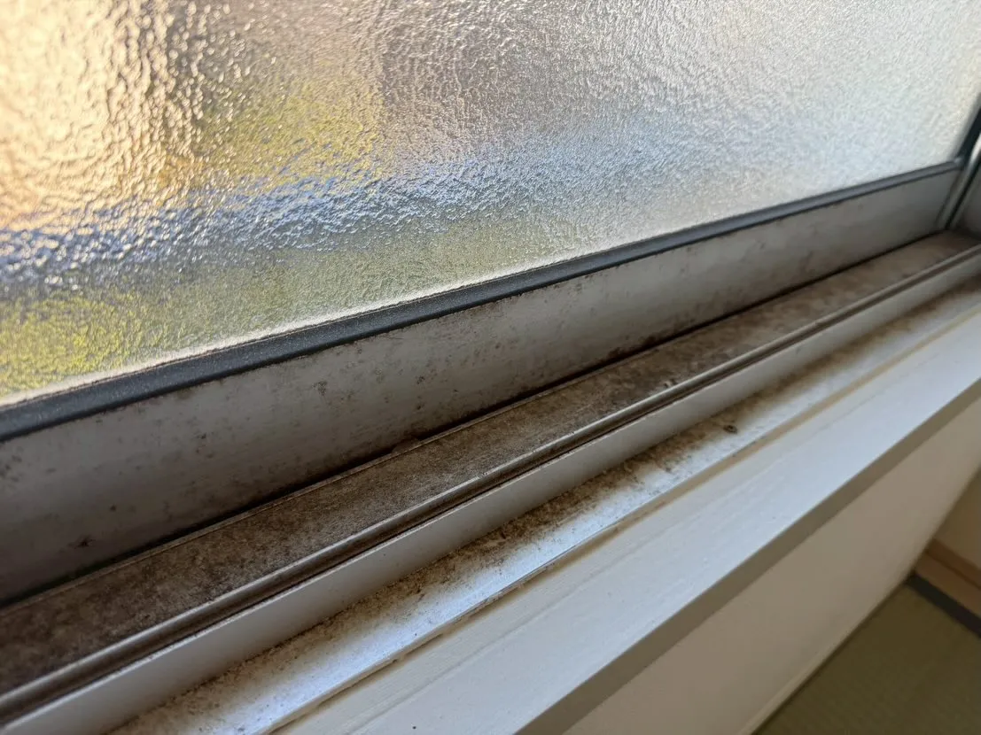 窓掃除にお困りの方、必見です！毎日頑張っているけど、どうして...