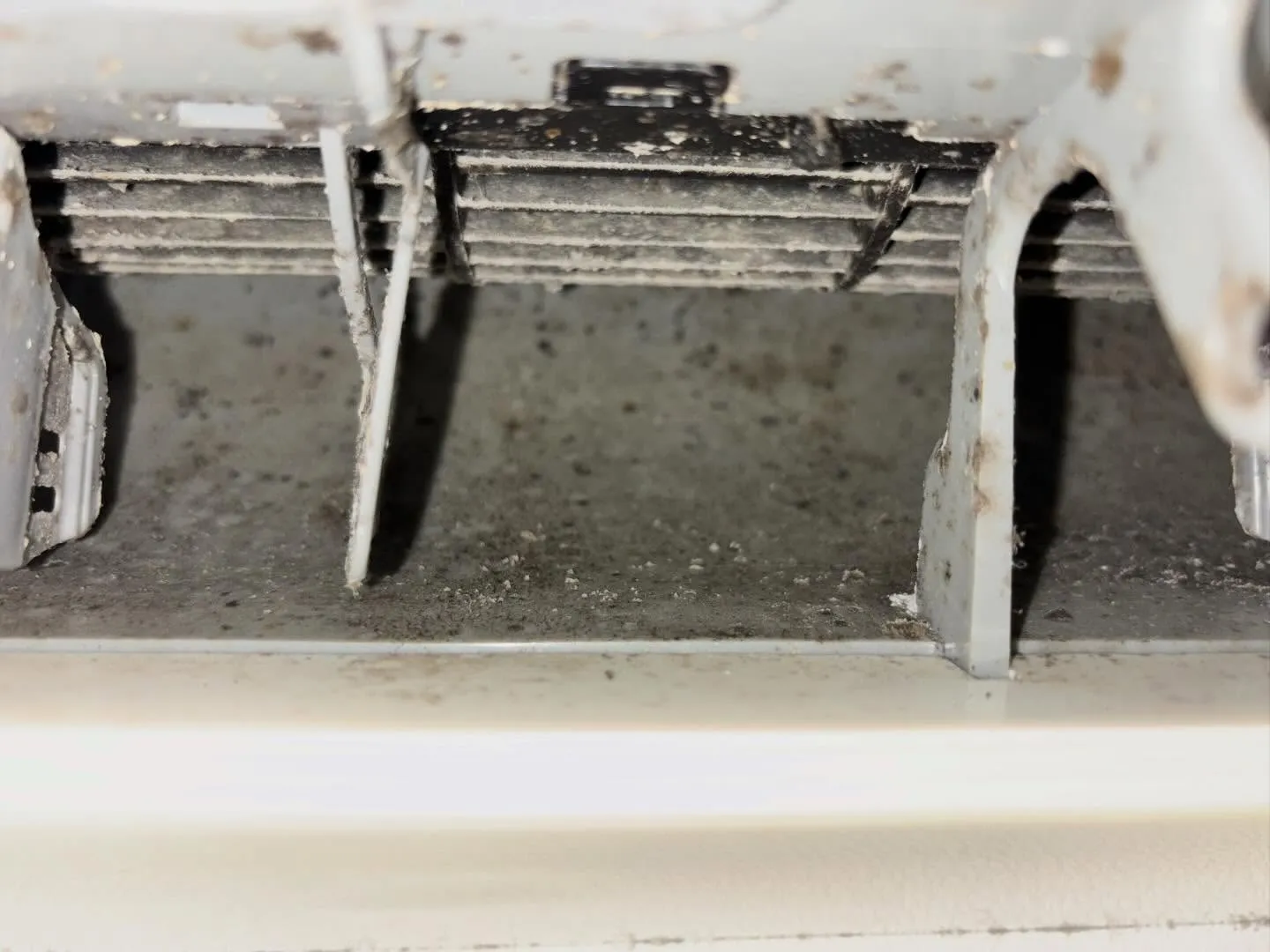 エアコンの中、最近覗いてみましたか？見えない部分にホコリやカ...