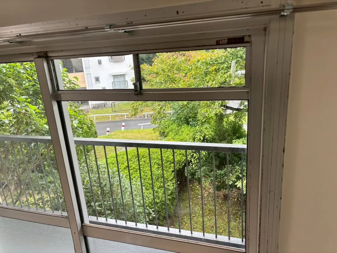 こんにちは!汚れに厳しく人に優しいスミレです!