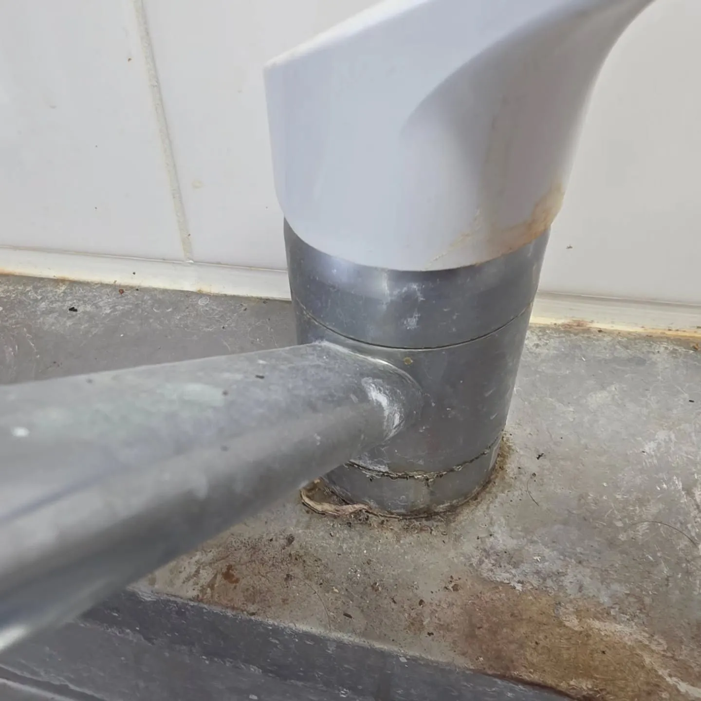 自分と汚れに厳しく、人に優しいスミレです！