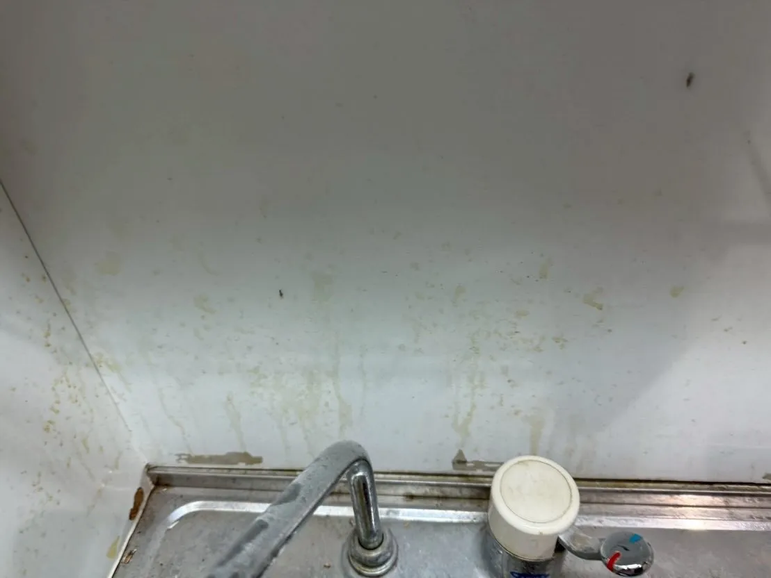 こんにちわ！汚れに厳しく、人に優しいスミレです！