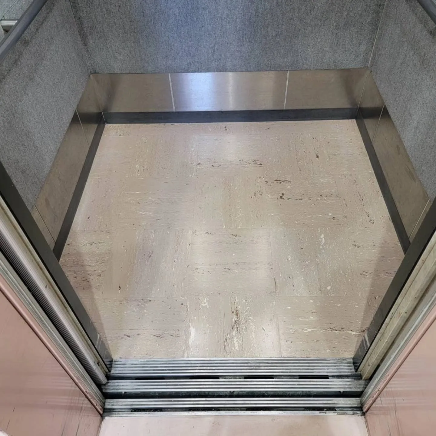 自分と汚れに厳しく、人に優しいスミレです！⁡