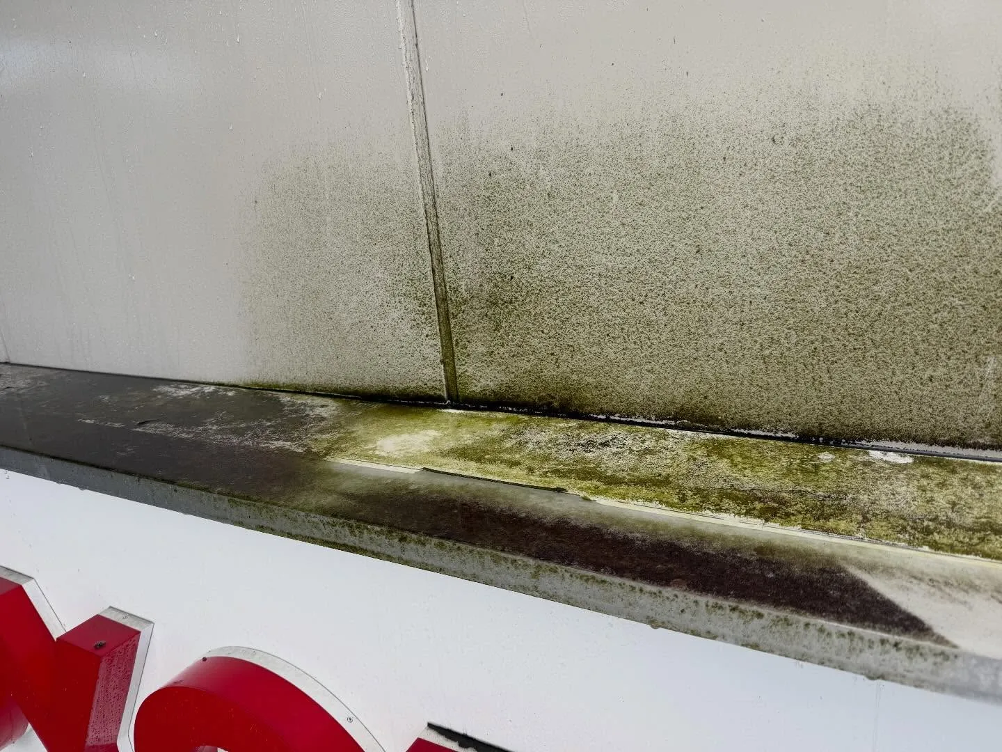 カンバンは！汚れに厳しく、人に優しいスミレです！