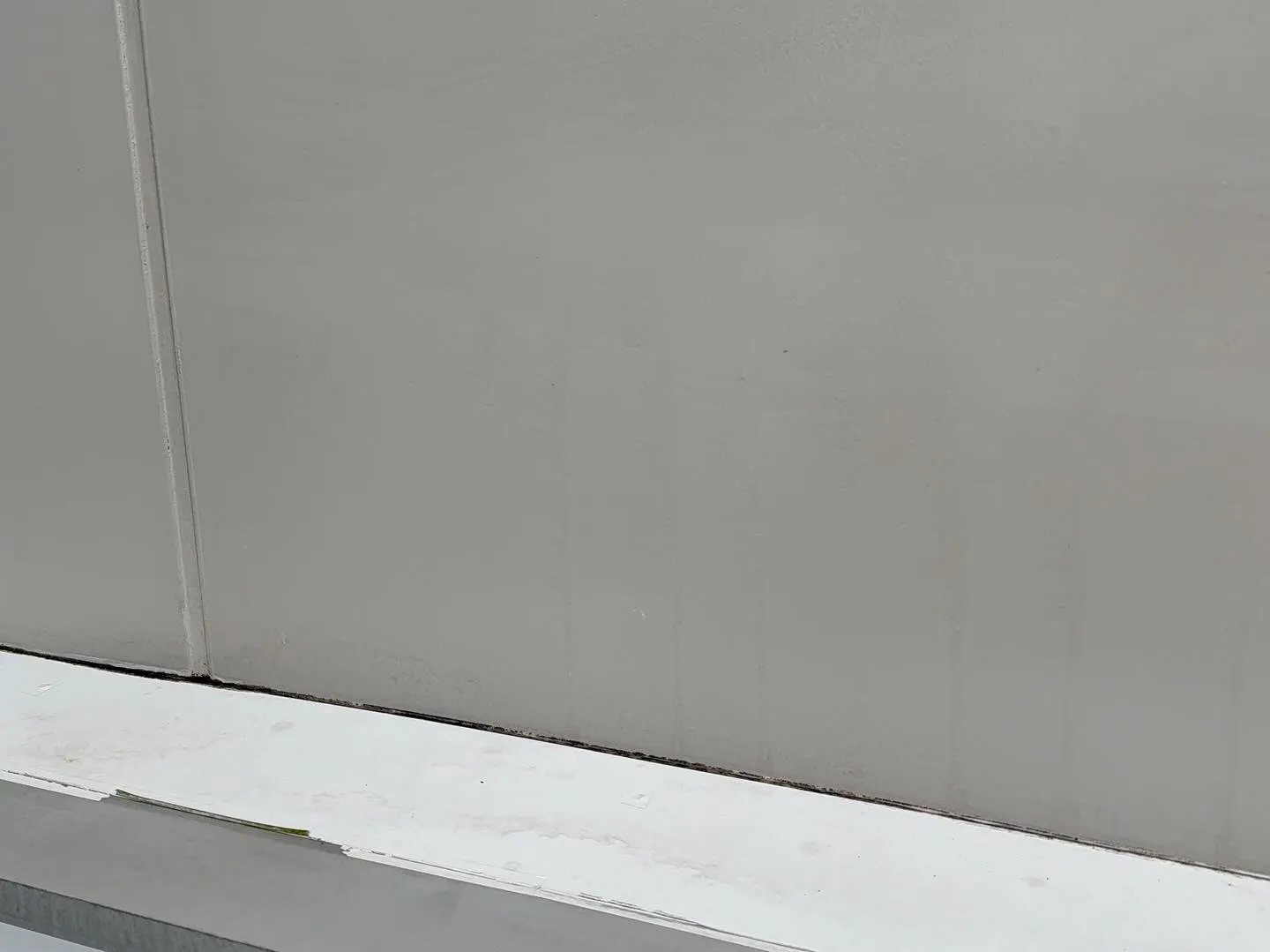 カンバンは！汚れに厳しく、人に優しいスミレです！