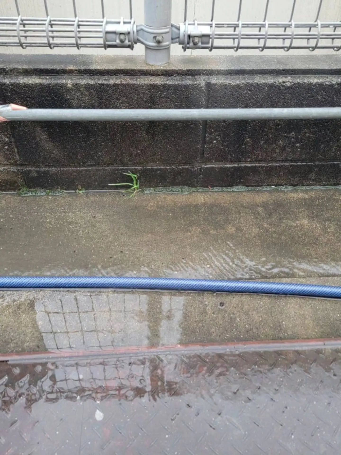 自分と汚れに厳しく、人に優しいスミレです！⁡