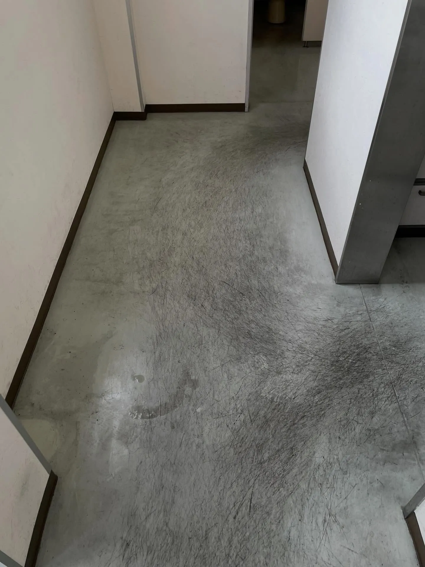 こんにちは！汚れに厳しく、人に優しいスミレです！