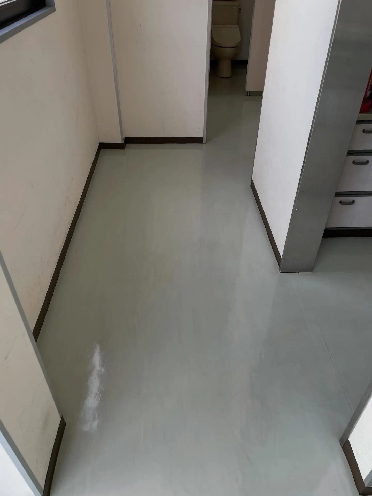 こんにちは!汚れに厳しく、人に優しいスミレです!