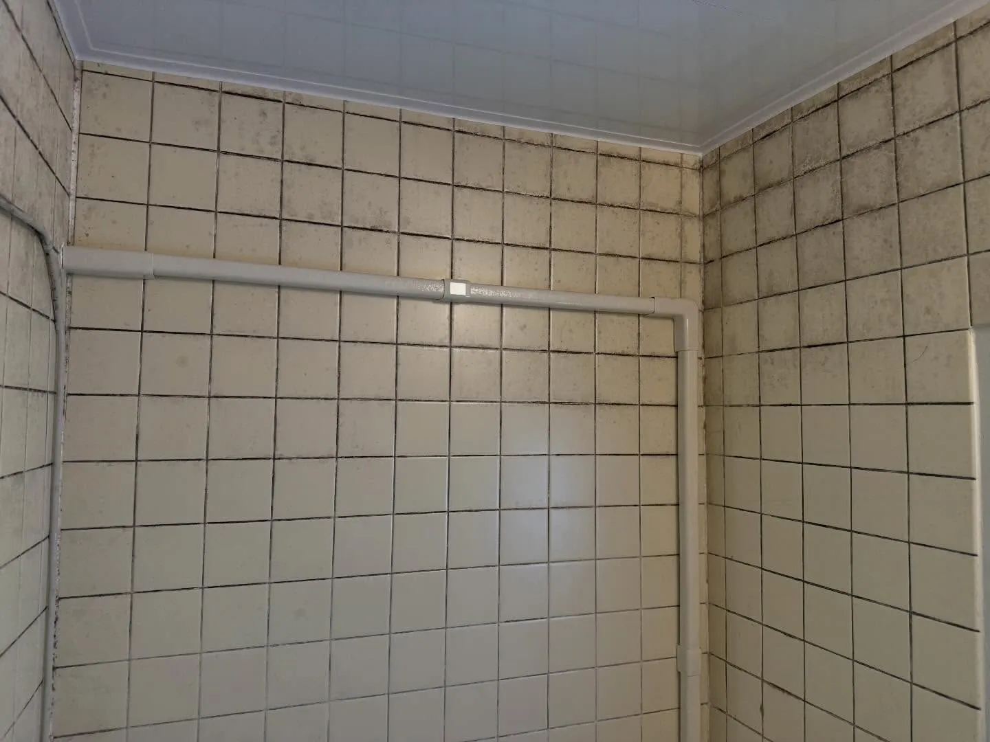 こんにちわ！汚れに厳しく、人に優しいスミレです！