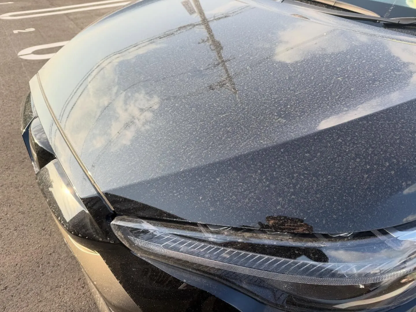 こんにちわ！汚れに厳しく、人に優しいスミレです！