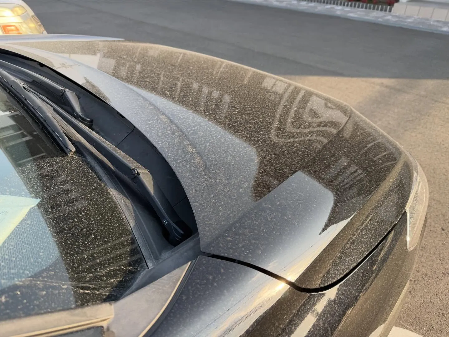 こんにちわ!汚れに厳しく、人に優しいスミレです!