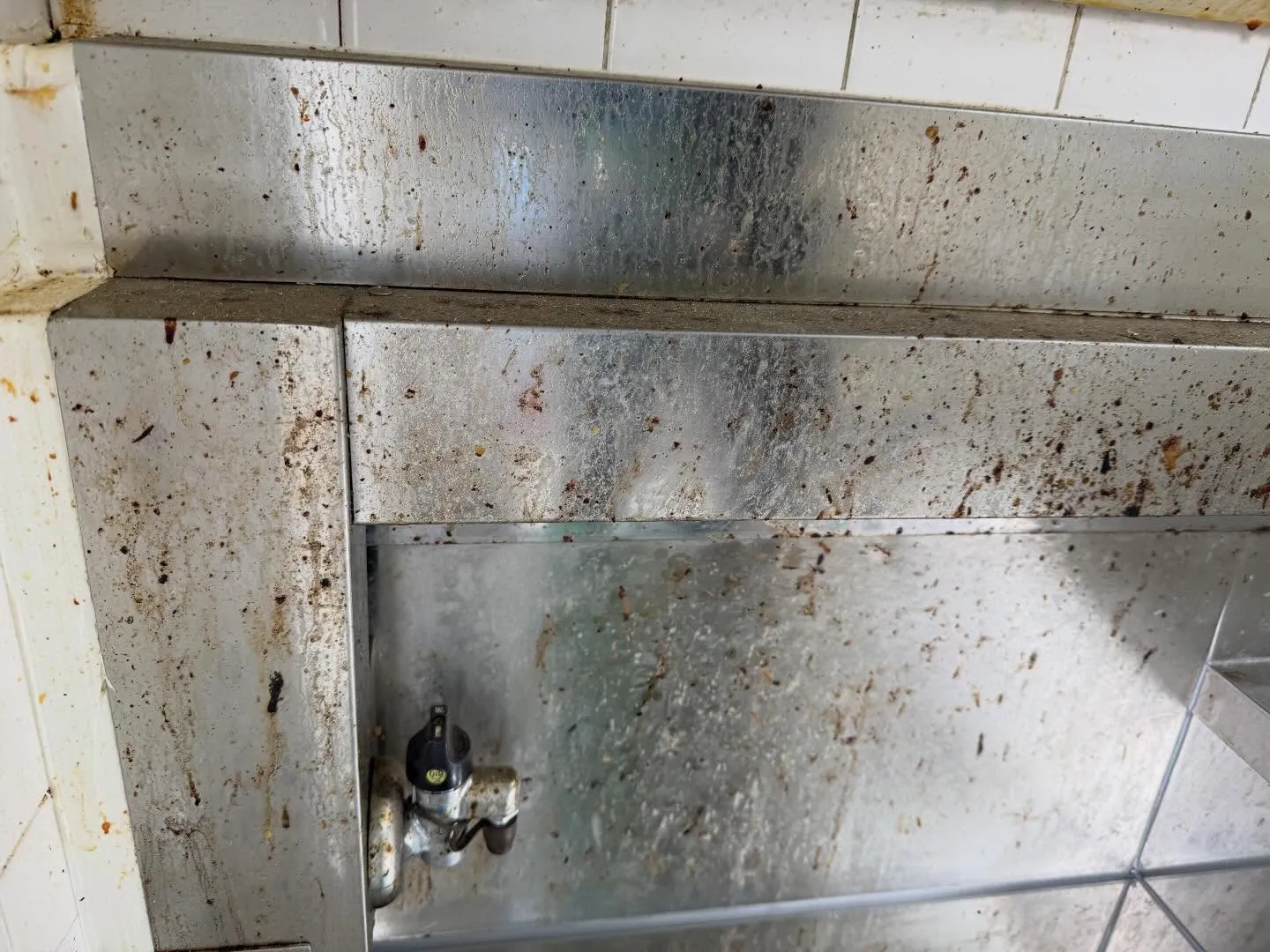 こんにちは！汚れに厳しく、人に優しいスミレです！