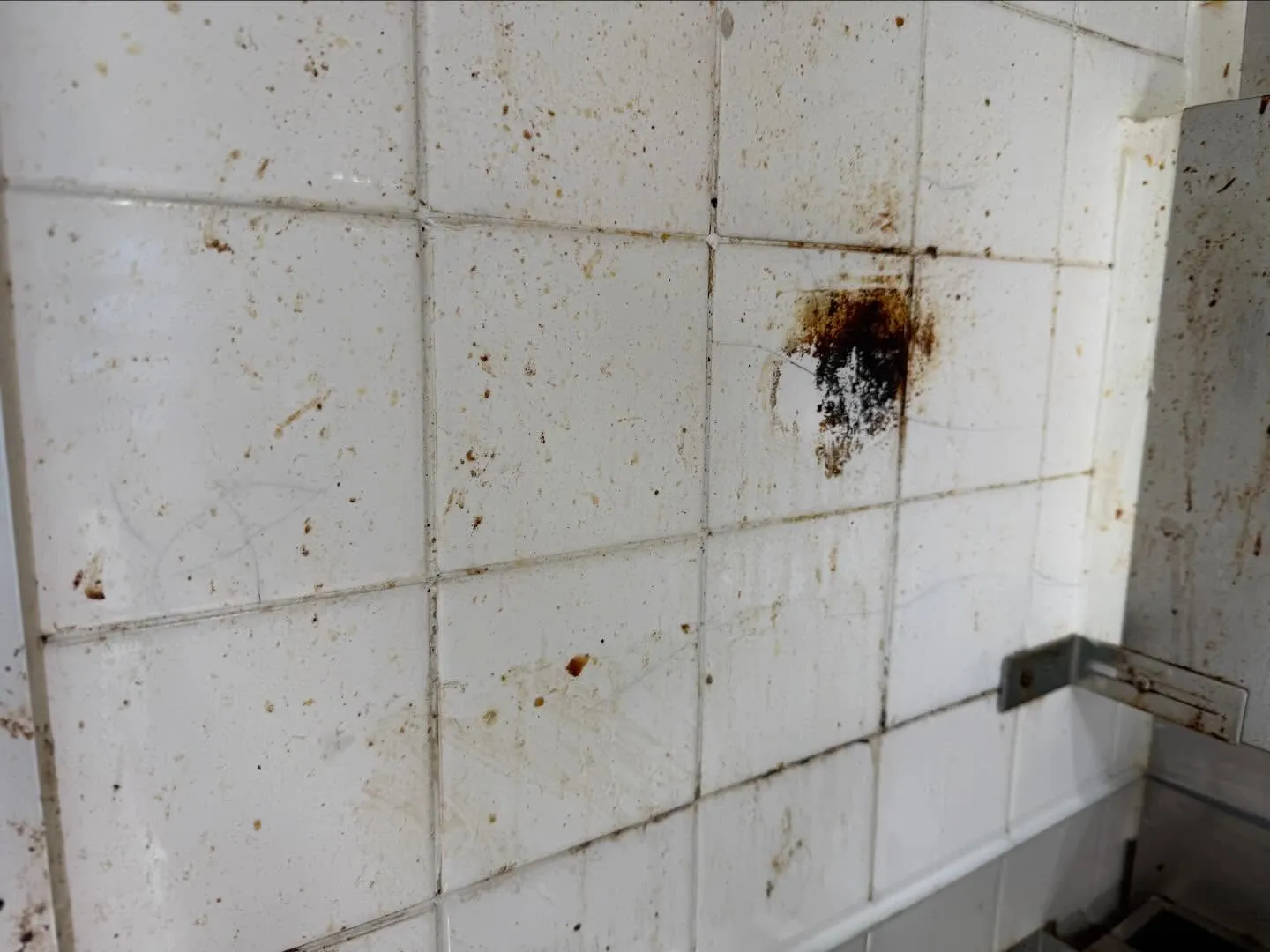 こんにちは！汚れに厳しく、人に優しいスミレです！