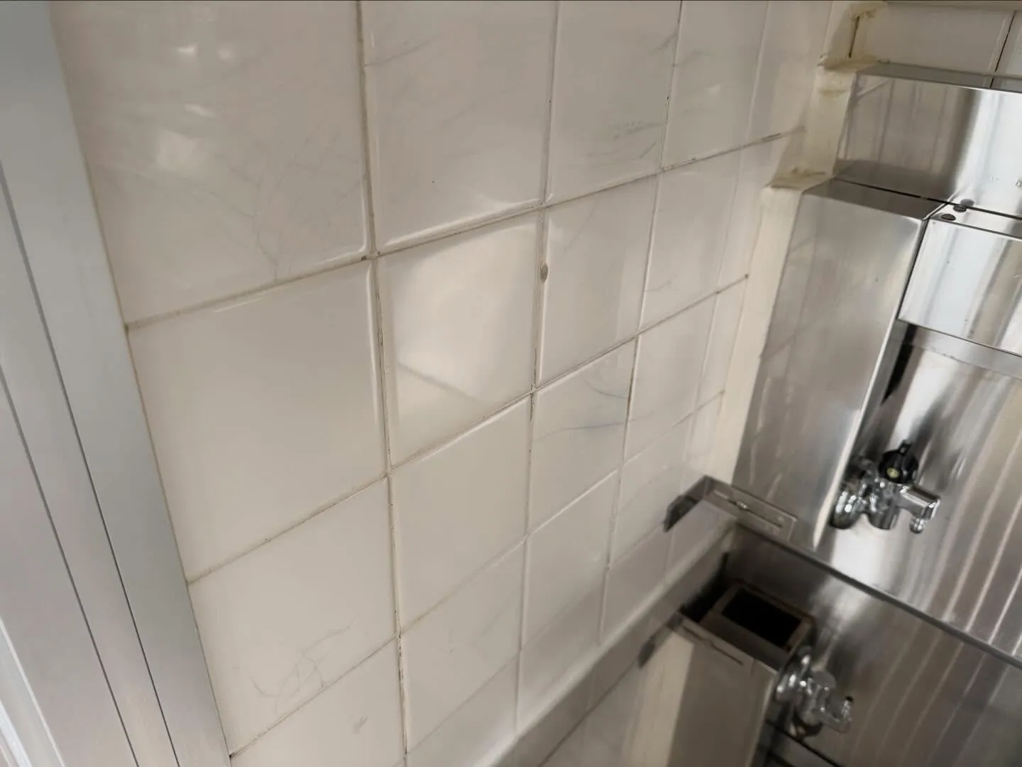 こんにちは！汚れに厳しく、人に優しいスミレです！