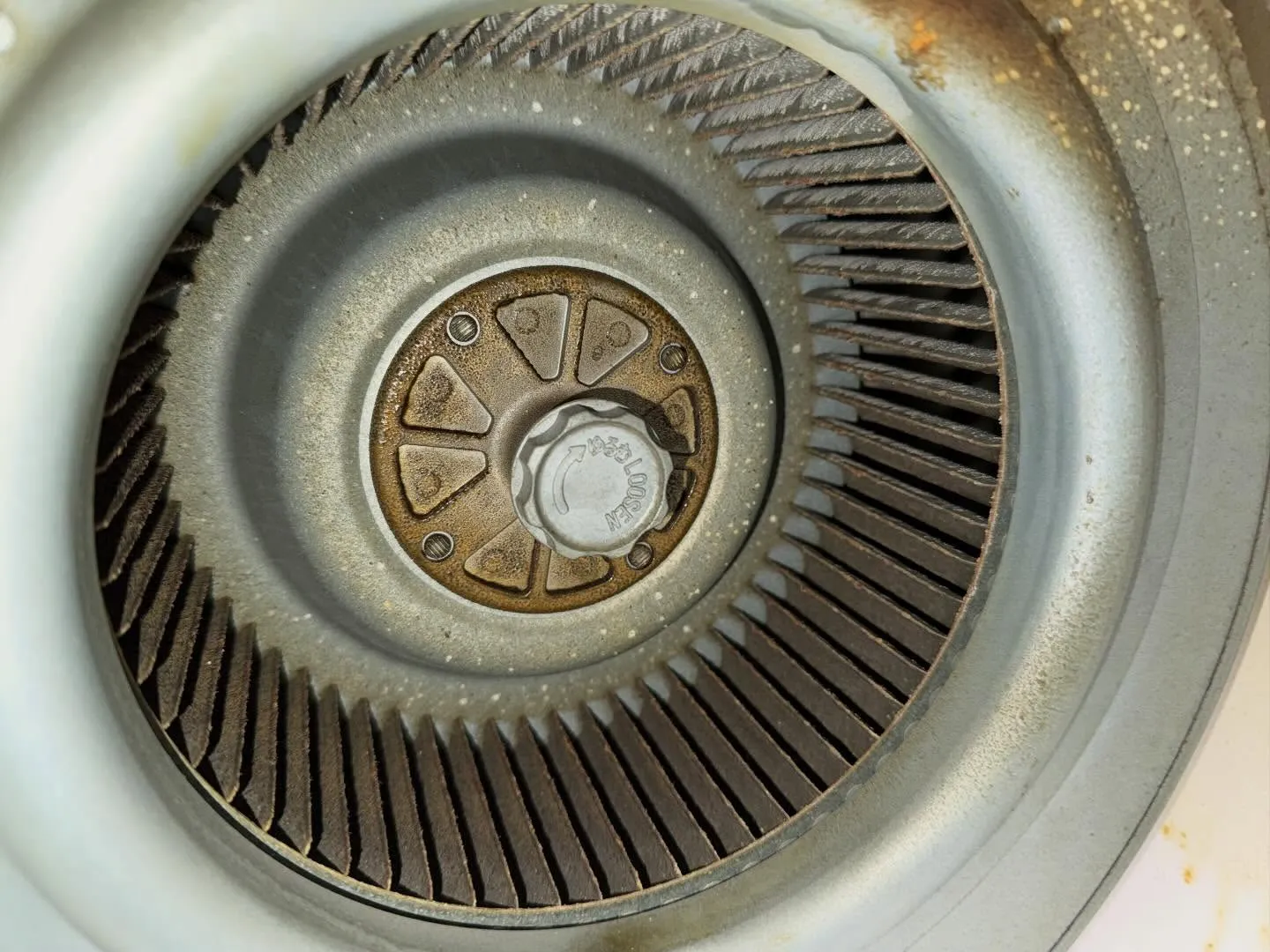 こんにちは！汚れに厳しく、人に優しいスミレです！