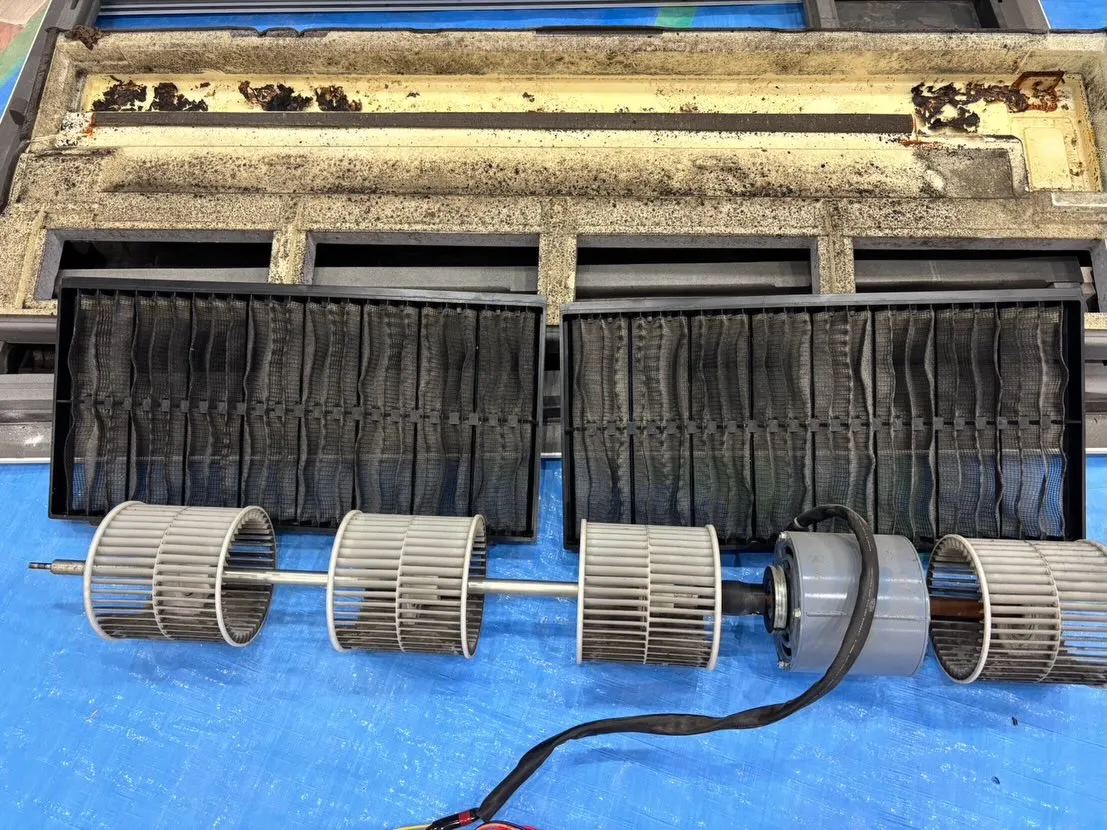 こんにちは！汚れに厳しく、人に優しいスミレです！