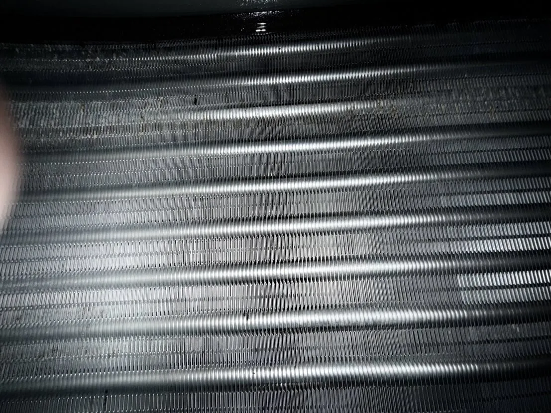 こんにちは！汚れに厳しく、人に優しいスミレです！