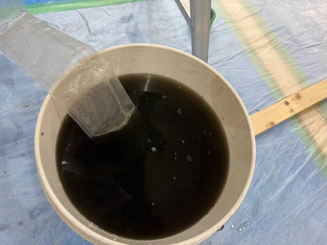 こんにちは！汚れに厳しく、人に優しいスミレです！