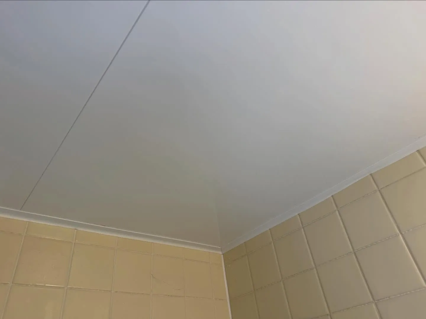 こんにちは!汚れに厳しく、人に優しいスミレです!