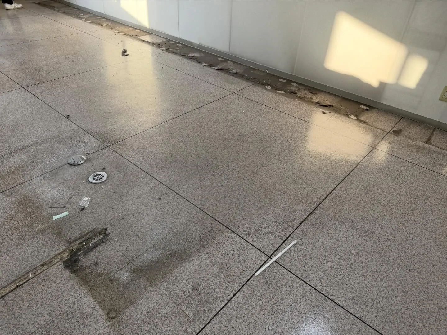 こんにちは！汚れに厳しく、人に優しいスミレです！今日も事務所...