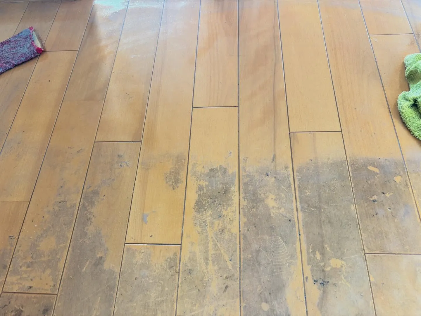 みなさん、こんにちは！曇りの日が続くと、なんだかお部屋の雰囲...