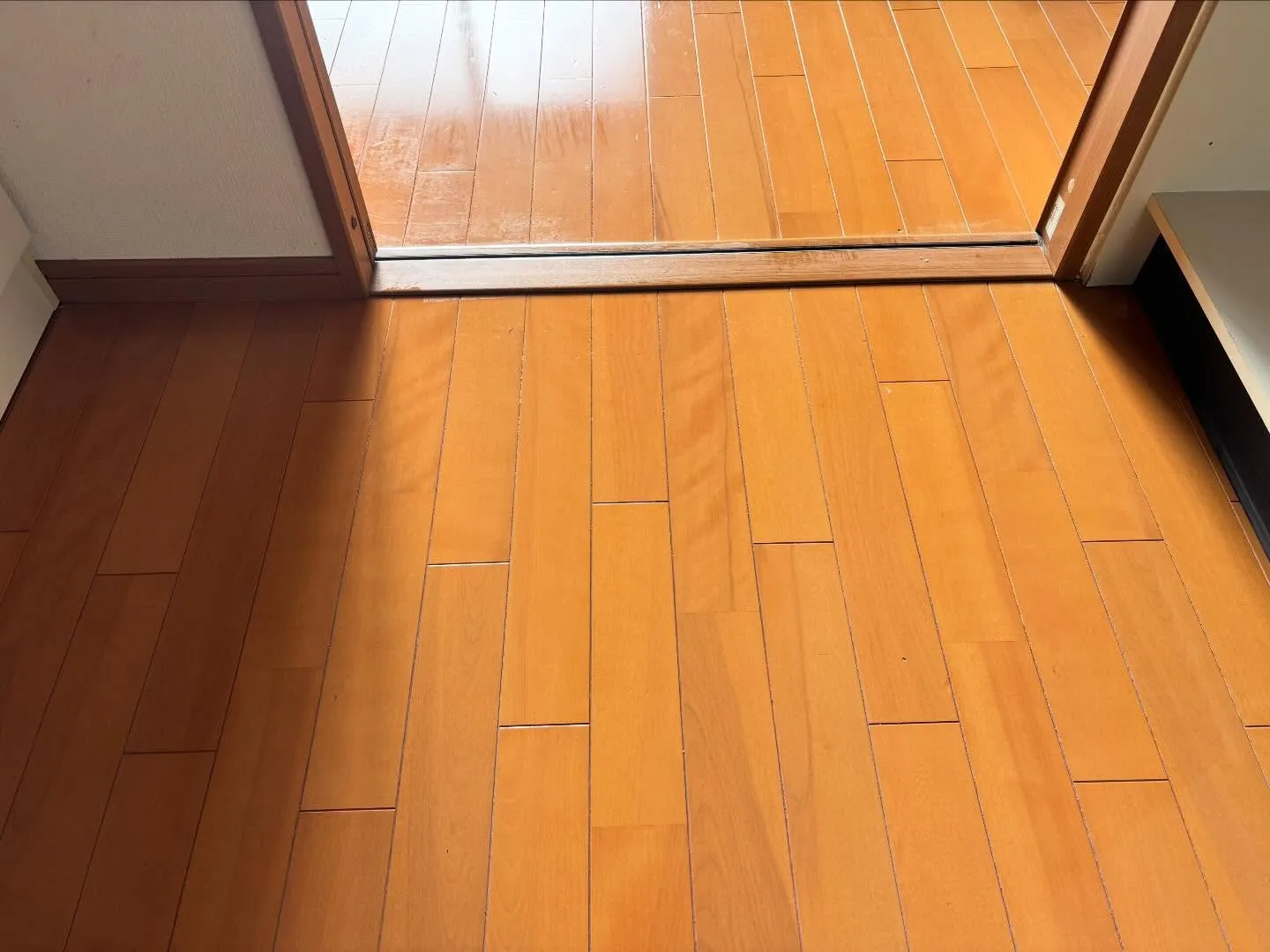 みなさん、こんにちは！曇りの日が続くと、なんだかお部屋の雰囲...