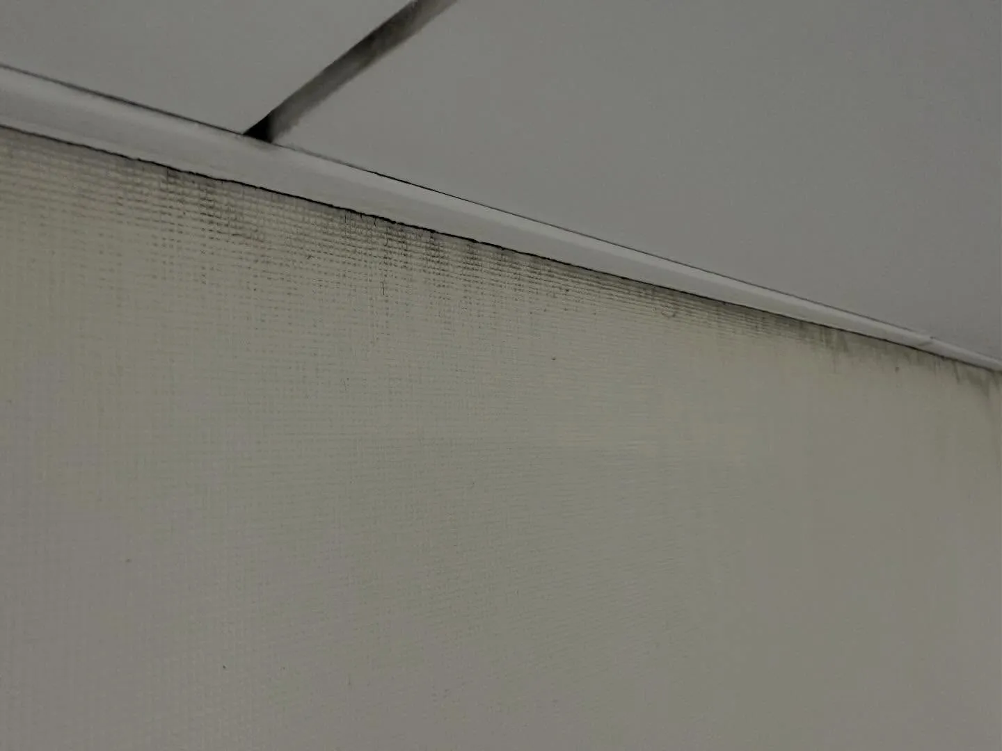 お世話になっております!汚れに厳しく人に優しいスミレです!