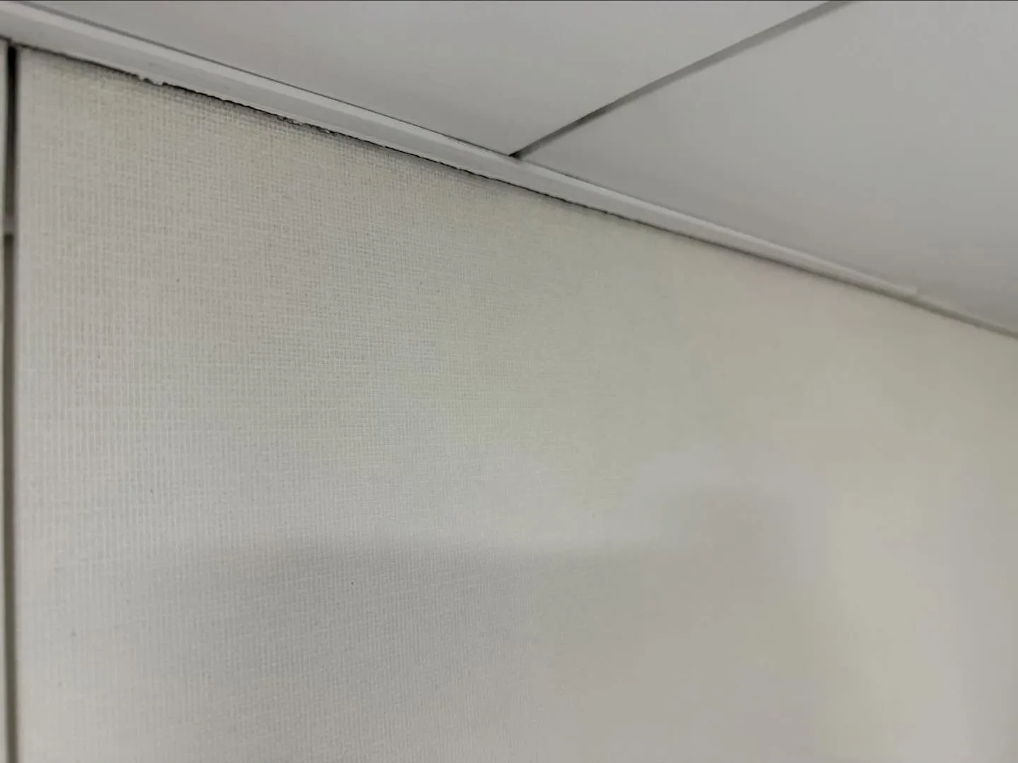 お世話になっております!汚れに厳しく人に優しいスミレです!