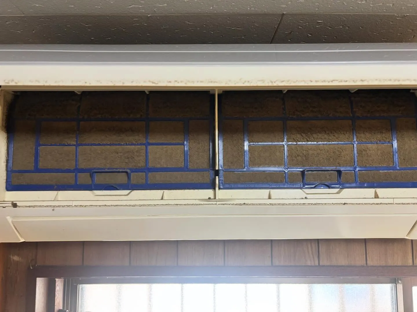 こんにちは!今、その部屋の隅々までしっかりクリーンアップする...