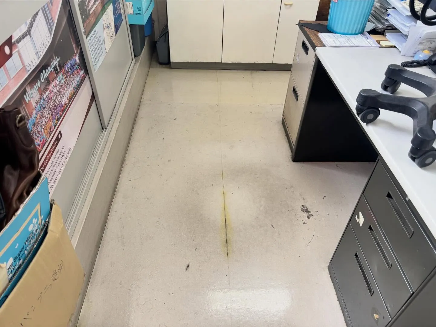 光り輝く床で仕事の効率もアップ！オフィスの床剥離作業は、見え...