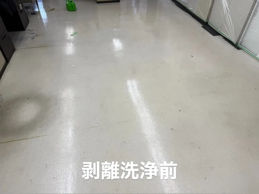 こんにちわ！汚れに厳しく人に優しいスミレです！！