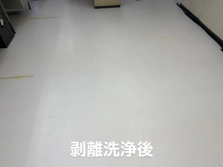 こんにちわ！汚れに厳しく人に優しいスミレです！！