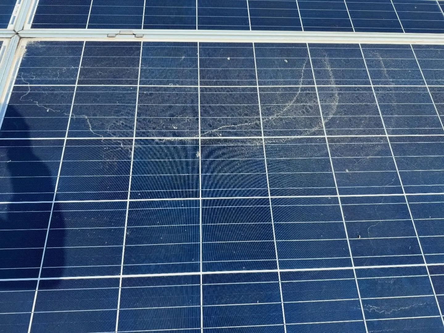 こんにちは、みなさん!今日は太陽光パネルの洗浄についてお話し...