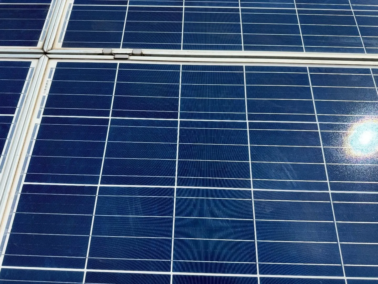 こんにちは、みなさん!今日は太陽光パネルの洗浄についてお話し...