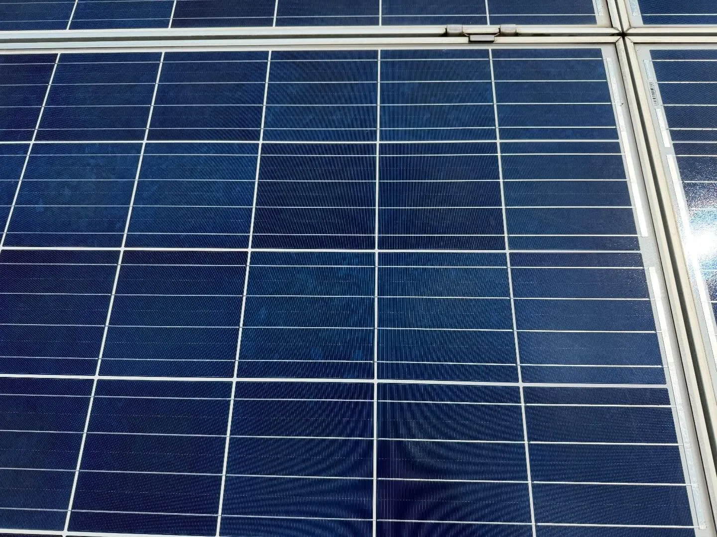 こんにちは、みなさん!今日は太陽光パネルの洗浄についてお話し...