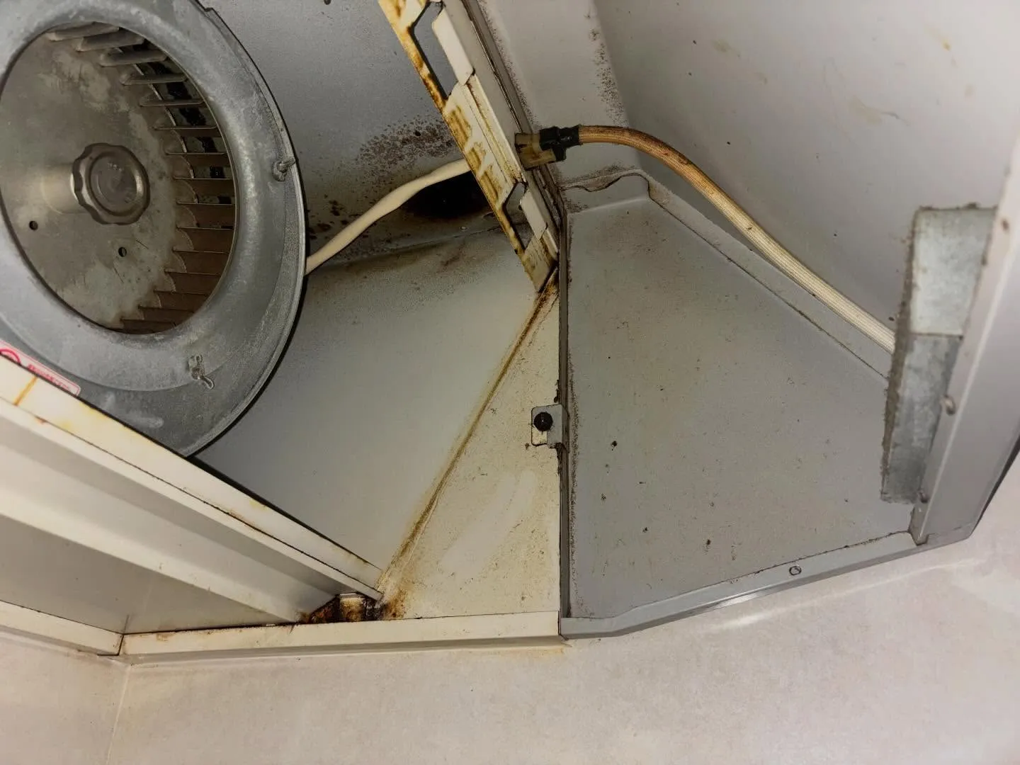 その油汚れ、もう悩まなくて大丈夫です！あなたのキッチンをまる...