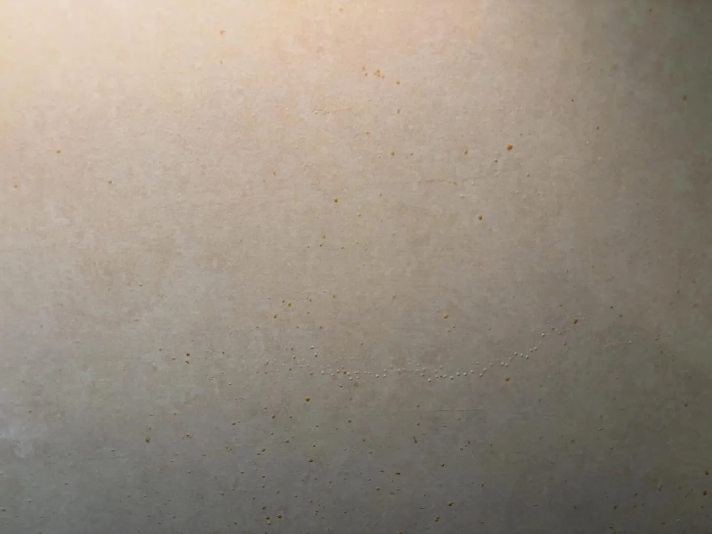 毎日のお料理や家事でキッチンが少しずつ汚れてしまうのが悩みの...