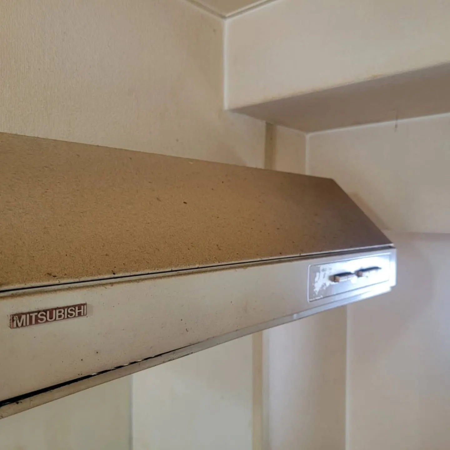 こんばんは！自分と汚れに厳しく、人に優しいスミレです！