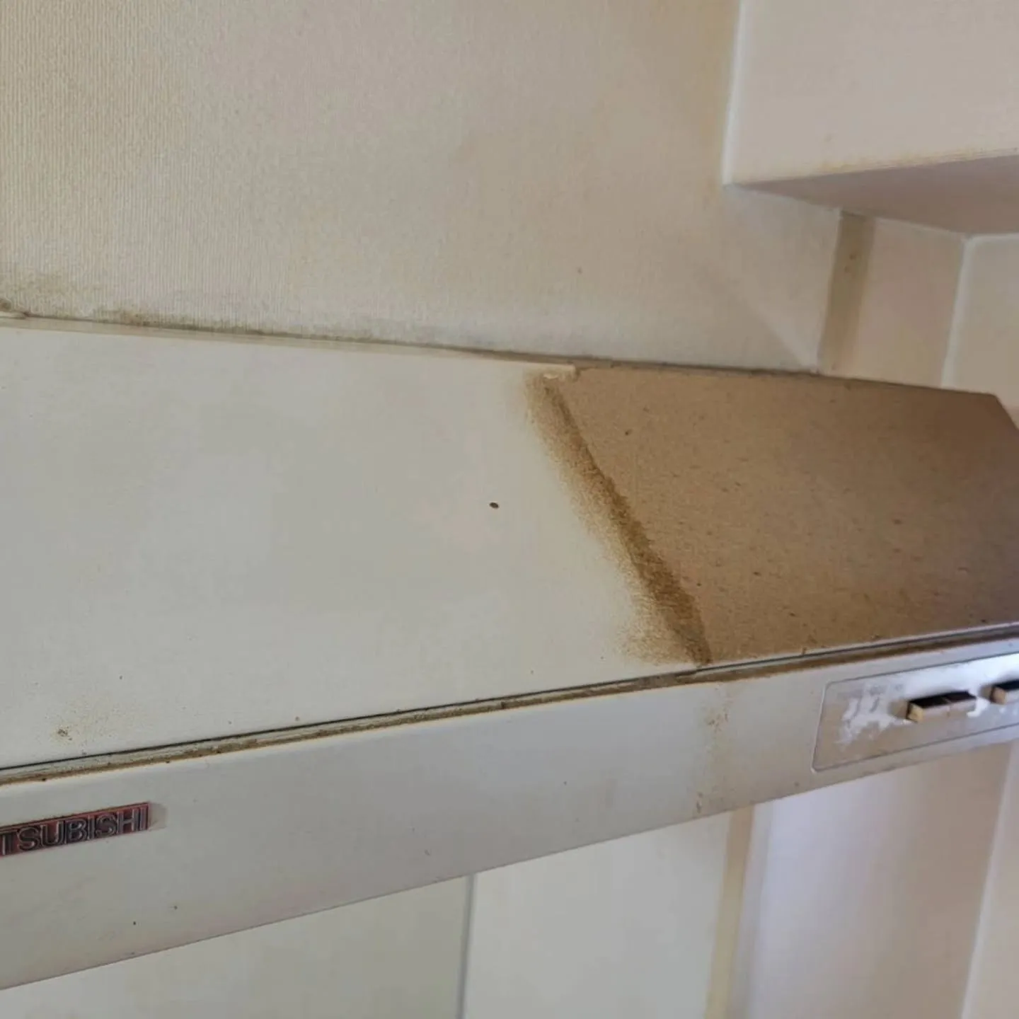 こんばんは！自分と汚れに厳しく、人に優しいスミレです！