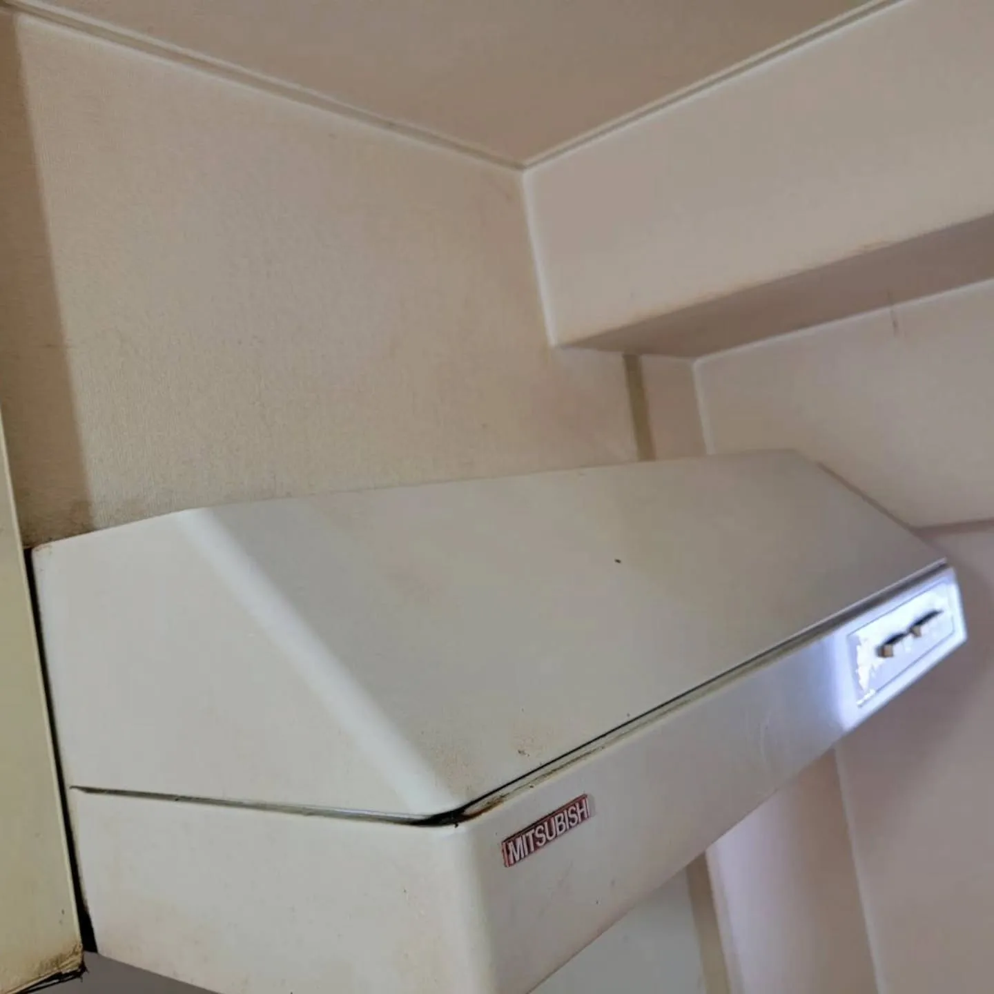 こんばんは！自分と汚れに厳しく、人に優しいスミレです！