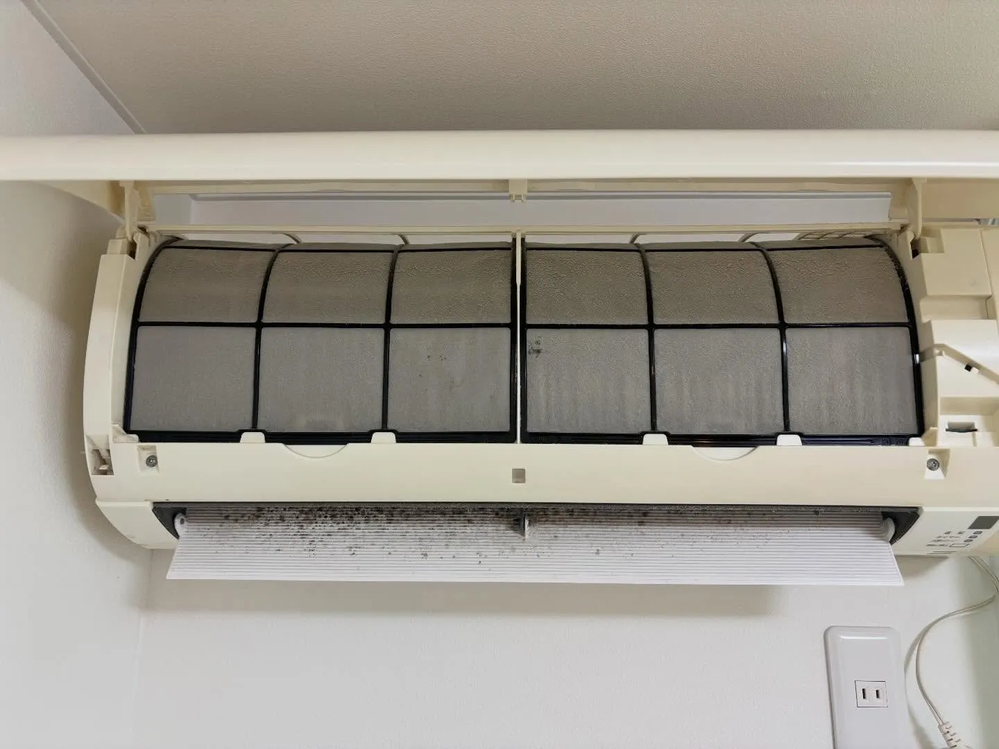 皆さま、ちょっと立ち止まって考えてみてください。