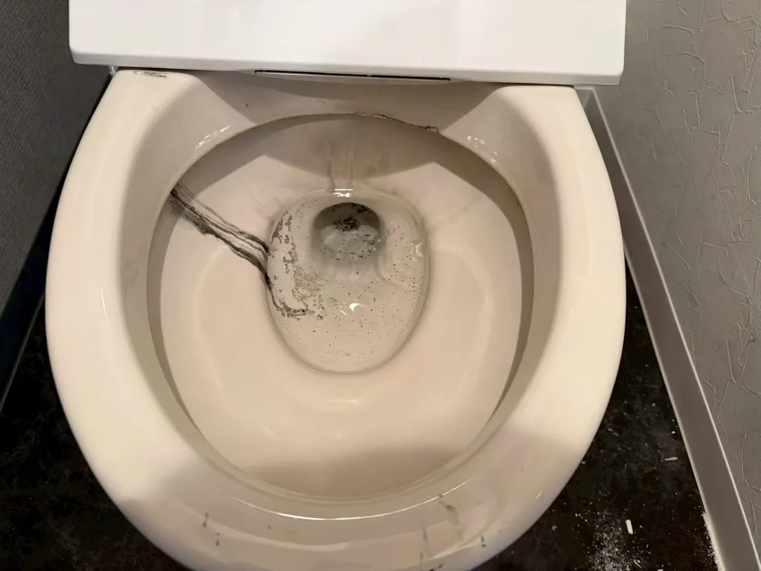 トイレは心のお化粧室。