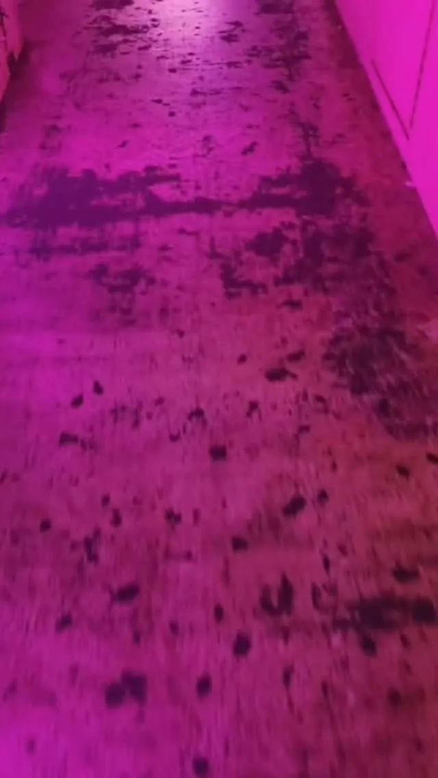 ナイトクラブの階段の清掃作業⁡ですが、お酒やガム、泥汚れが積...