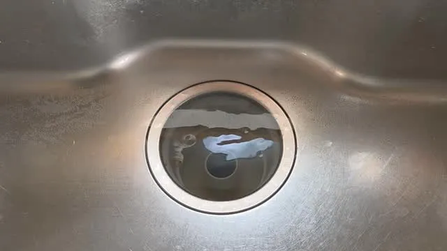 自分と汚れに厳しく人に優しいスミレです！